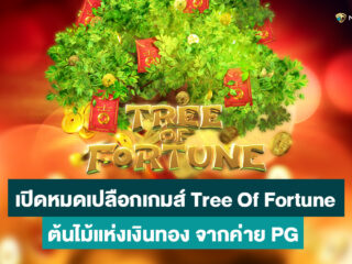 รีวิวเกมส์สล็อต Tree Of Fortune ต้นไม้แห่งเงินทองจากค่าย PG Slot